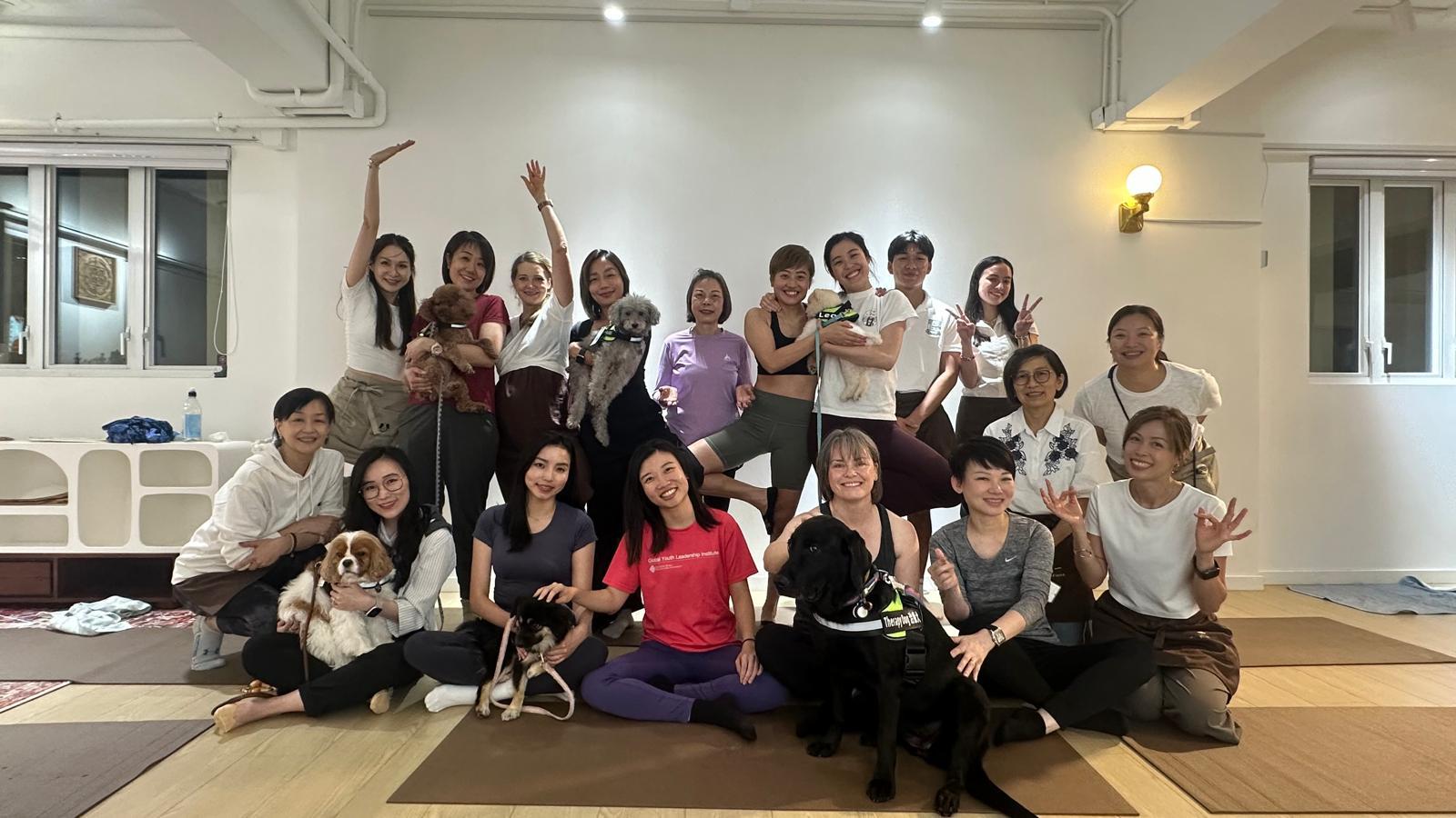 Team building with therapy animals