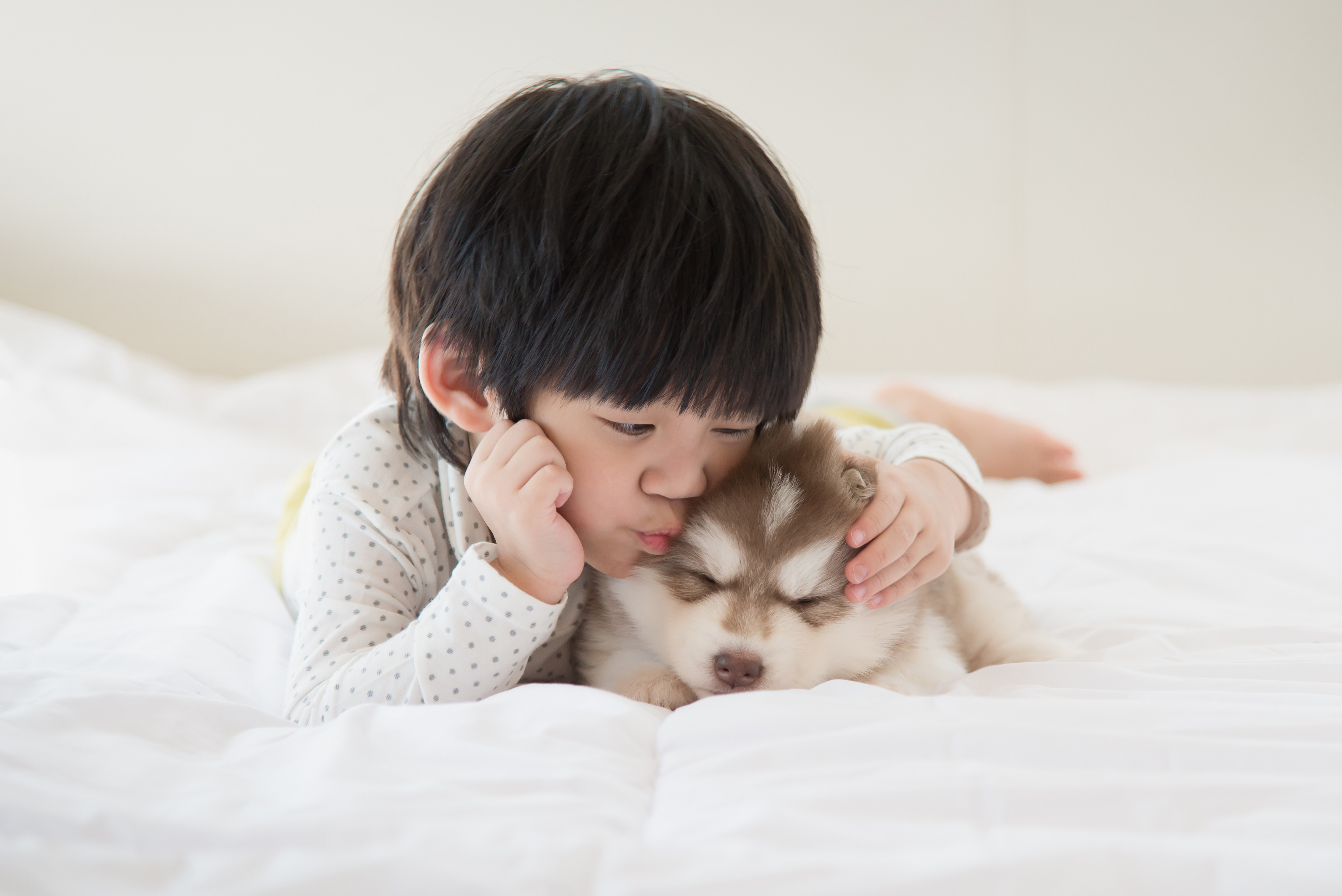 A child embracing a therapy puppy at Daynamic Strategies