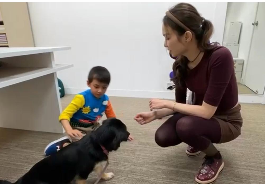 Private training with a therapy animal