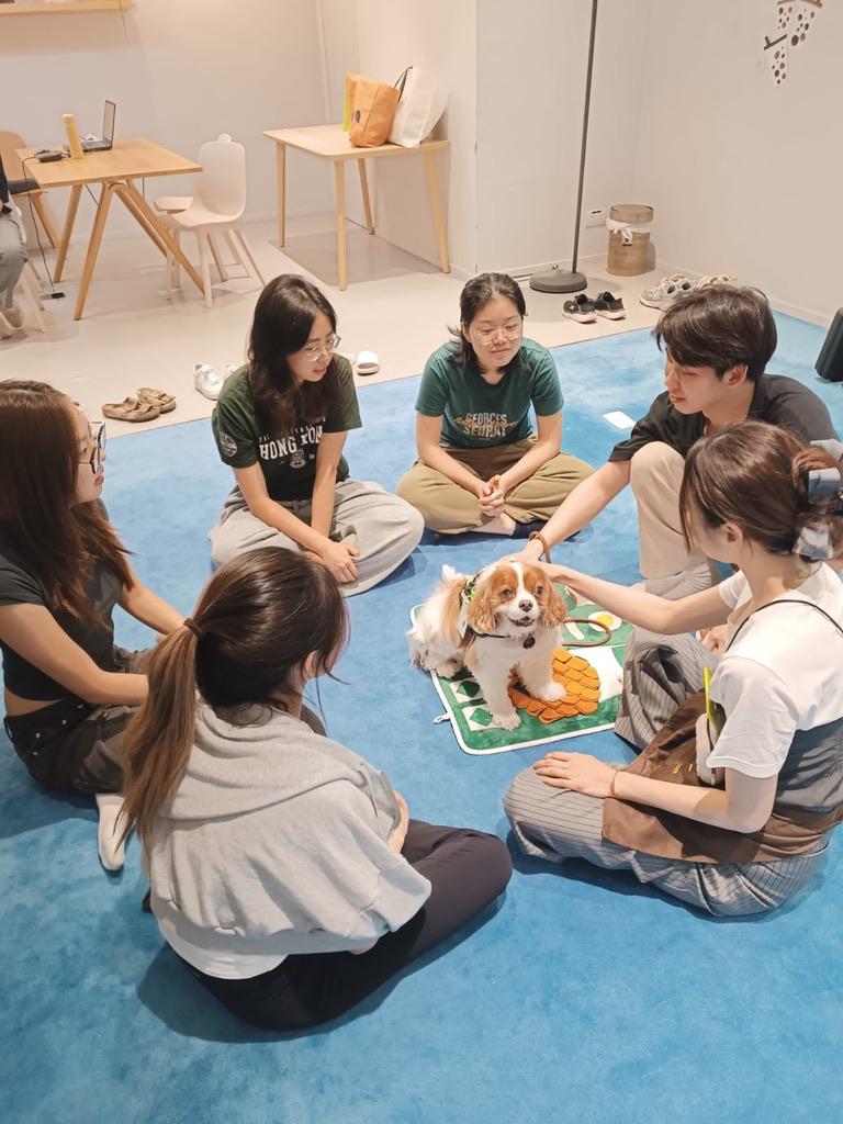 Animal Assisted Education session