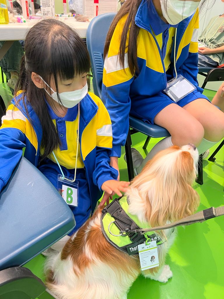 School program with therapy animals